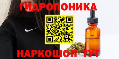 apvp Моздок