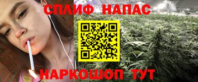 apvp Моздок