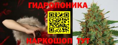 apvp Моздок