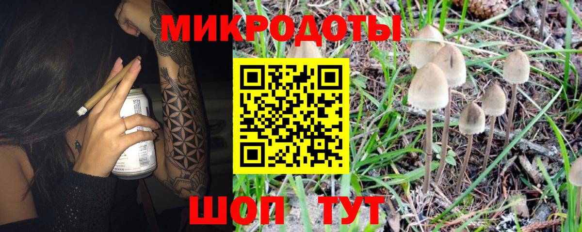 Славянск-на-Кубани  Псилоцибиновые грибы Psilocybe  Вход с VPN 