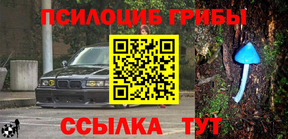 Галлюциногенные грибы ЛСД Славянск-на-Кубани